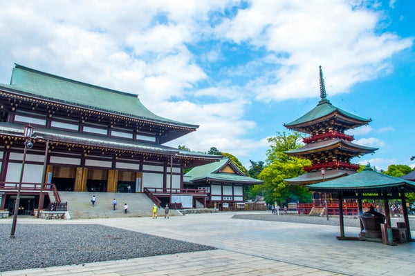 成田山新勝寺と大杉神社(あんば様)ツアー
~成田山新勝寺・大杉神社・筑波山神社~1